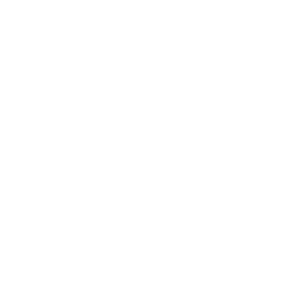 NS White logo